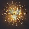 Бра Coral Zoa Eye Copper II YZ D36 — фото 1