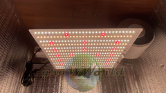 60х60х160 PROBOX LED Rootster Board Lite 225W SUPERSILENT
