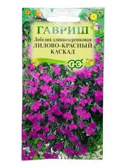 Лобелия ампельная Лилово-красный каскад (Гавриш)