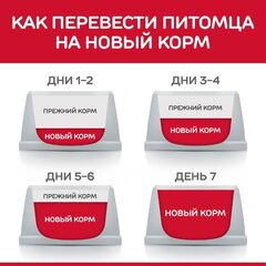 Hill's Sensitive Stomach & Skin  сухой корм для кошек c чувствительной кожей и желудком 1,5кг