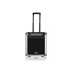 Soundking PA10W