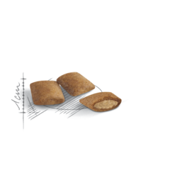 Royal Canin Ageing 12+ сухой корм для кошек старше 12 лет 400г