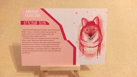 Животные Казахстана. Красный волк