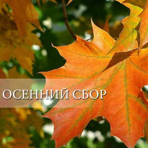 Сбор для Рязанской области (закрыт)