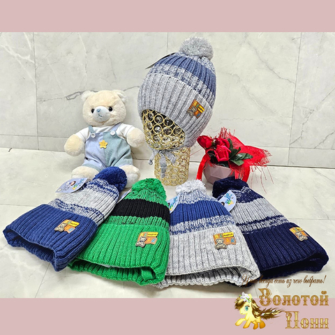 Шапка на синтепоне мальчику (3-7) 231107-SHP2172