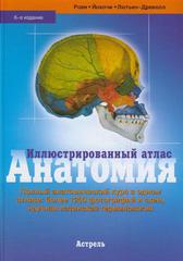 Анатомия. Иллюстрированный атлас