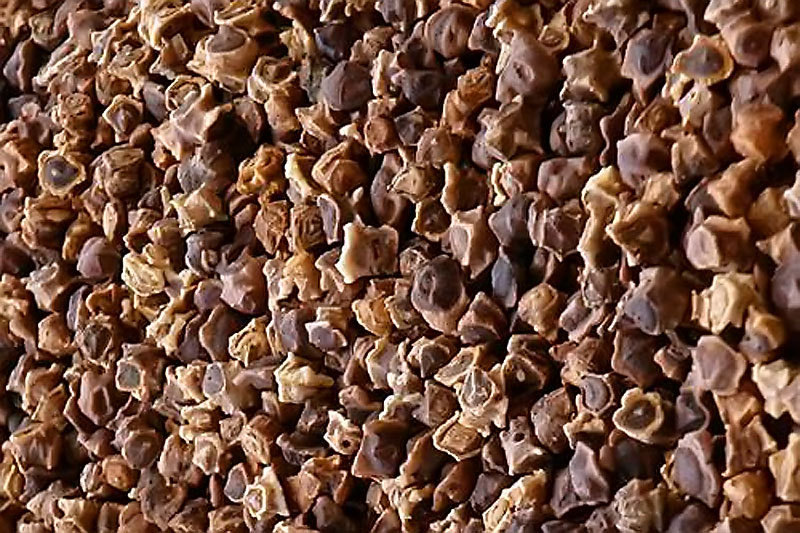 Мангольд семена BIO, 100г (Италия)