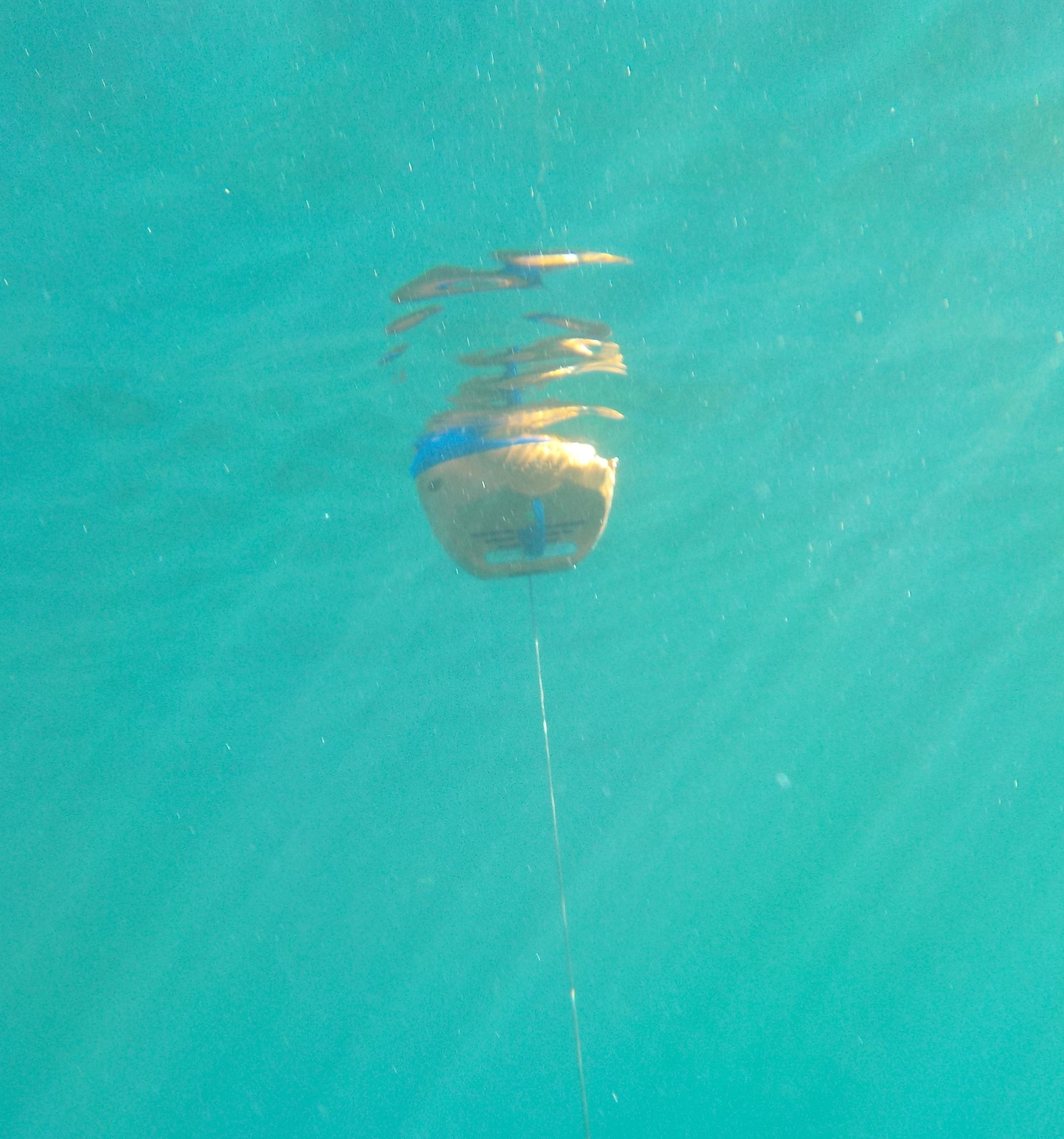 Anchoring buoy Grippy Light