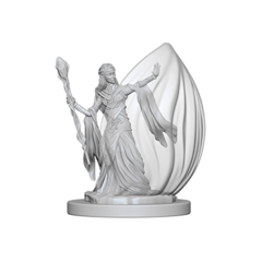 Elf Female Wizard / Эльфийки-волшебницы