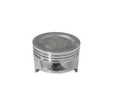 Поршень LC1P65FA/130030092-0001