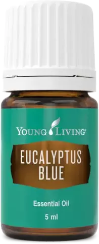 Young Living. Эвкалипт Голубой (Eucalyptus Blue) – 5 ml