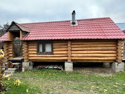 BL-0040 Вяз