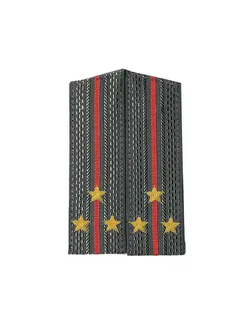 Погоны МО вышитые ст.лейтенант (скос)