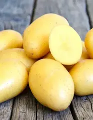 Семенной Картофель Ривьера, Э, (2кг)