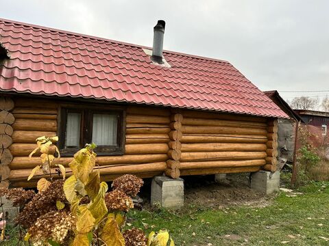 BL-0040 Вяз