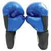 Перчатки Rusco Sport для Рукопашного боя PRO синие