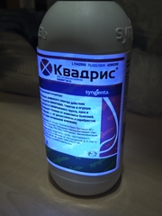 Квадрис