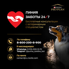 Pro Plan Original cухой корм для взрослых кошек (лосось) 3 кг