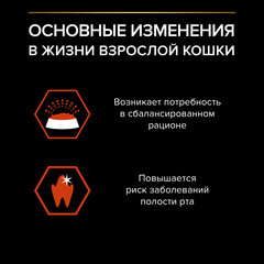 Pro Plan Original cухой корм для взрослых кошек (лосось) 3 кг