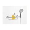 Hansgrohe Unica 26328400 Поручень для душевой