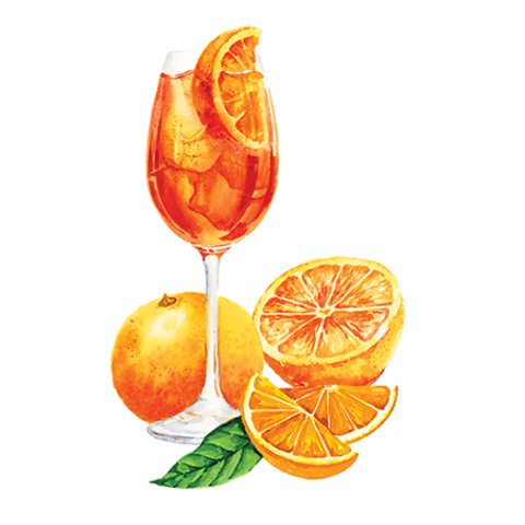 Сироп Итальянский Спритц ProffSyrup