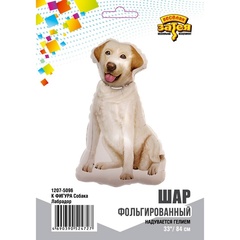 Шар К Фигура, Собака Лабрадор, 33