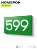 Номер на дверь 599, табличка на дверь для офиса, квартиры, кабинета, аудитории, склада, зеленая 120х70 мм, Айдентика Технолоджи