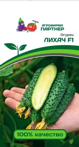 Семена Огурец Лихач F1