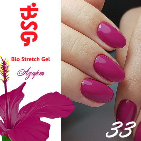 BSG №33 Азарт купить за 450&nbsp;руб