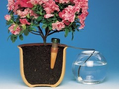 Капельница для полива комнатных растений