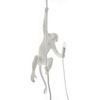 Светильник The Monkey Lamp Ceiling Version — фото 1