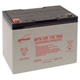 Аккумулятор EnerSys Genesis NP75-12 ( 12V 75Ah / 12В 75Ач ) - фотография