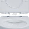 Berges Puma 082131 Подвесной унитаз безободковый, сиденье с микролифтом