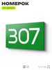 Номер на дверь 307, табличка на дверь для офиса, квартиры, кабинета, аудитории, склада, зеленая 120х70 мм, Айдентика Технолоджи