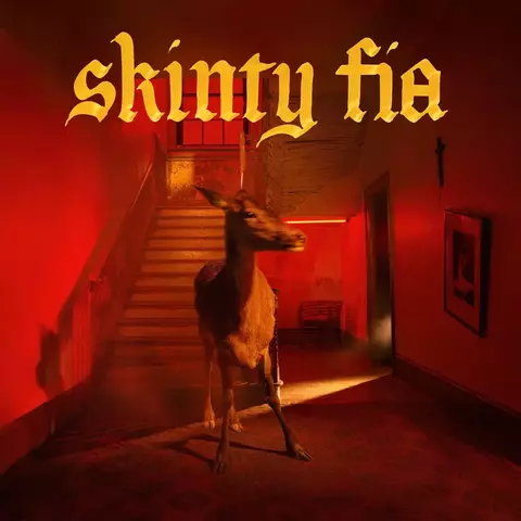 Виниловая пластинка Fontaines D.C. — Skinty Fia