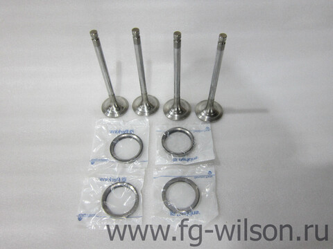 Комплект седел клапанов и клапанов / VALVE KIT АРТ: 10000-82707