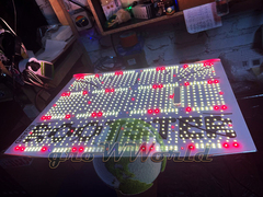 60х60х160 PROBOX LED Rootster Board 250W SUPERSILENT