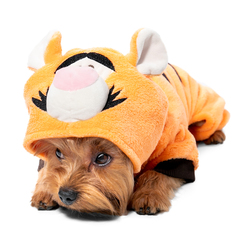 Triol костюм демисезонный Disney Fun Tigger M, размер 30см