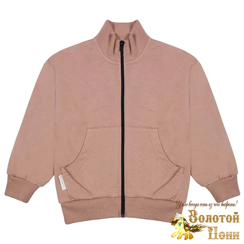 Толстовка начес девочке (8-12) 231009-BK1761T.3