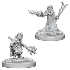 Female Gnome Wizard / Гномьи волшебницы