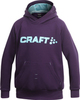 Толстовка Craft Flex Hood детская purple - 1