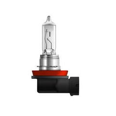 H11 12v 55W