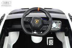 Lamborghini Huracán STO E888EE (ЛИЦЕНЗИОННАЯ МОДЕЛЬ) с дистанционным управлением