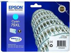Картридж Epson C13T79024010