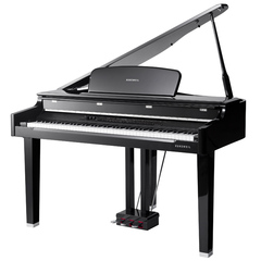 Kurzweil X-Pro MPG200