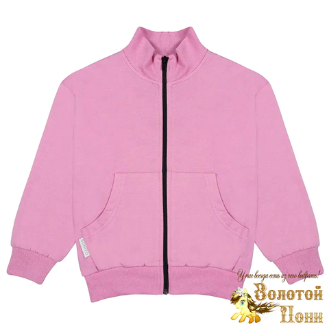 Толстовка начес девочке (8-12) 231009-BK1761T.6