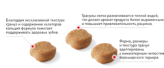 Royal Canin сухой корм для пожилых собак породы Йоркширский терьер 1,5кг