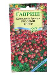 Камнеломка арендса Розовый ковер (Гавриш)
