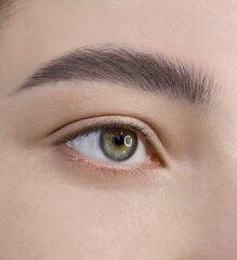 LuxVisage Гель-тинт для бровей водостойкий BROW TINT waterproof 24H тон 104 Taupe Grey 5г