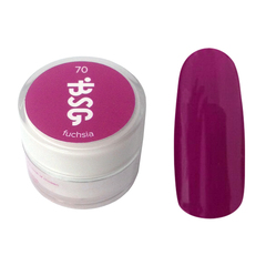 Цветной биогель Bio Stretch Gel Fuchsia №70 Цветной биогель Bio Stretch Gel Fuchsia №70